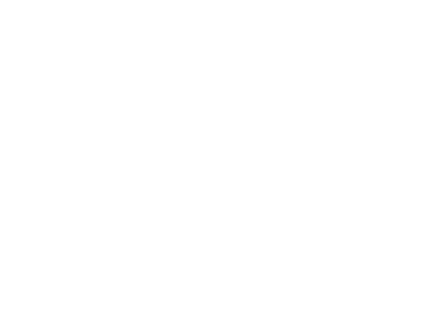 CallSource Logo