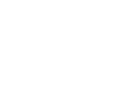 Resoptima Logo