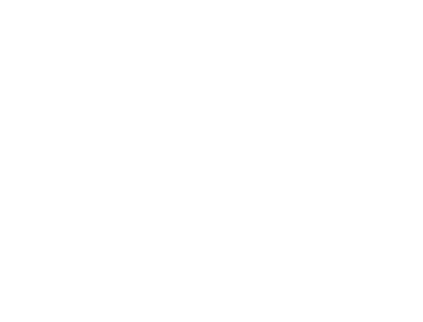 CallSource Logo