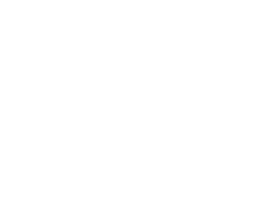 Resoptima Logo